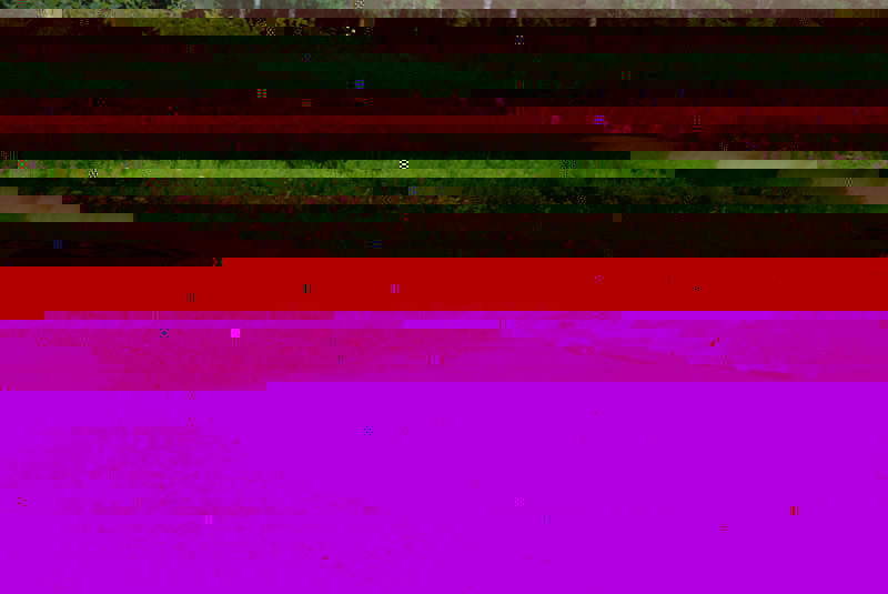 pilt1.jpg